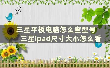 三星平板电脑怎么查型号 三星ipad尺寸大小怎么看